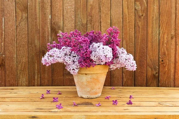 Keramiska potten med lila blommor — Stockfoto