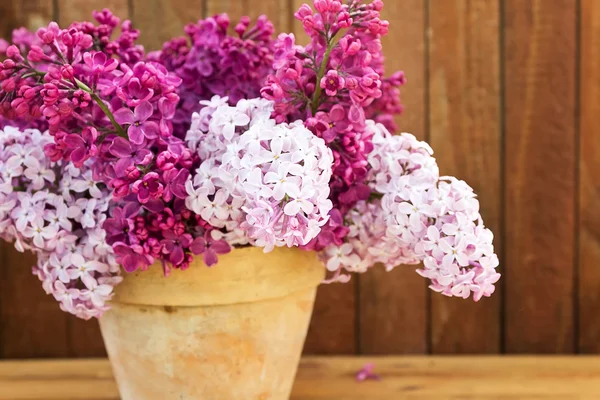 Ceramic pot with lilac flowers — Stock Photo, Image