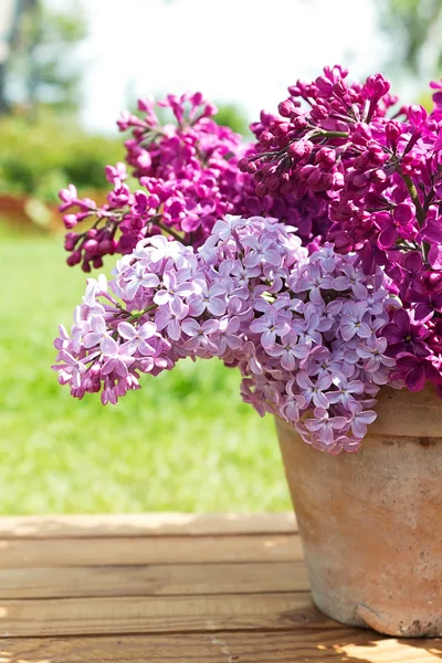 Maceta de cerámica con flores lila — Foto de Stock