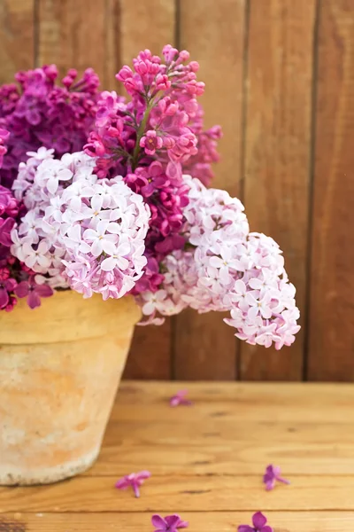 Ceramic pot with lilac flowers — Stock Photo, Image