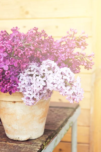 Ceramic pot with lilac flowers — Stock Photo, Image