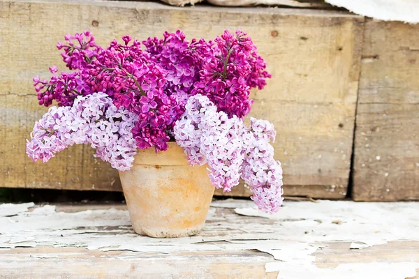 Pentola in ceramica con fiori lilla — Foto Stock