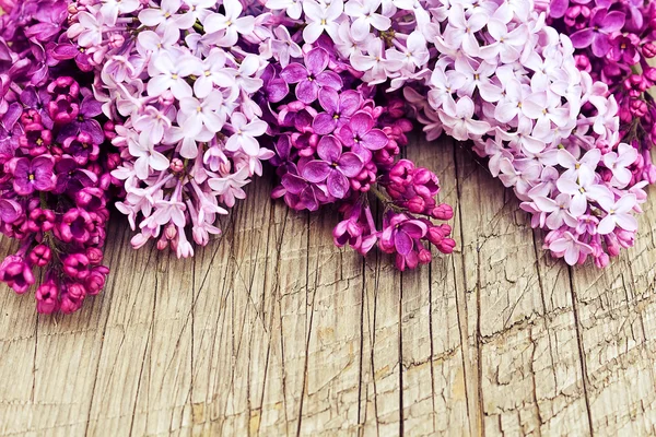 Красивые сиреневые цветы — стоковое фото