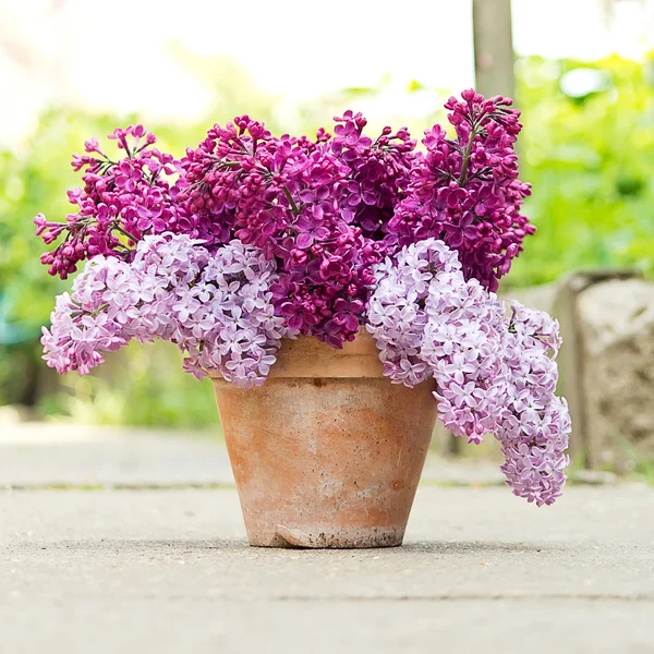 Ceramic pot with lilac