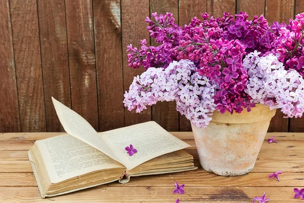 Eflatun çiçekler ve eski kitap — Stok fotoğraf
