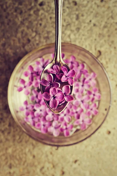 Lilac flowers in spoon — Stock Photo, Image