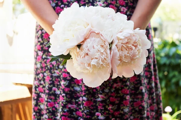 Peonies in woman's hands — Stock Photo, Image