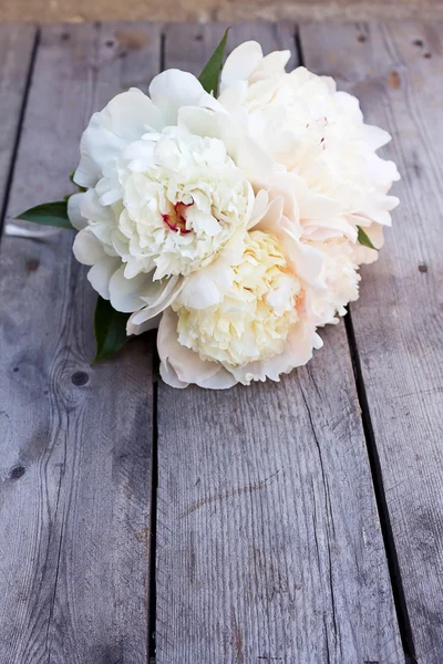 White pink peonies flowers — Stock Photo, Image