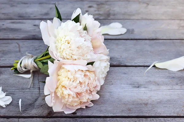 白色粉色牡丹花朵 — 图库照片