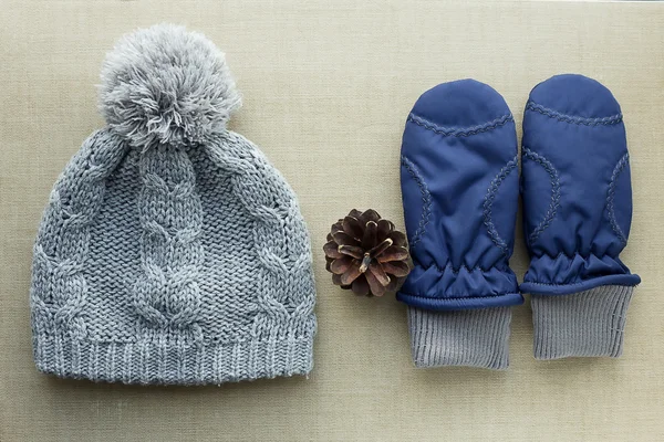 Cappello, guanti e una pigna — Foto Stock