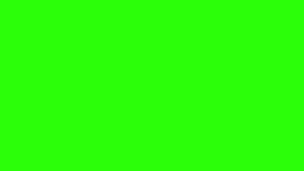 Linha Plana Curta Animação Natal Definido Chave Croma Tela Verde — Vídeo de Stock