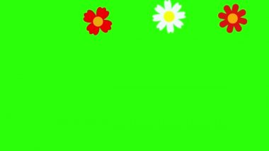 Çiçeklerin düz tasarımı yeşil ekran kroma tuşunda canlandırma