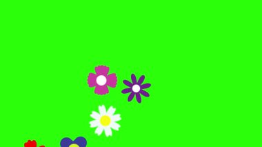 Çiçeklerin düz tasarımı yeşil ekran kroma tuşunda canlandırma