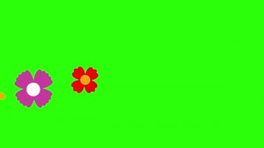 Çiçeklerin düz tasarımı yeşil ekran kroma tuşunda canlandırma