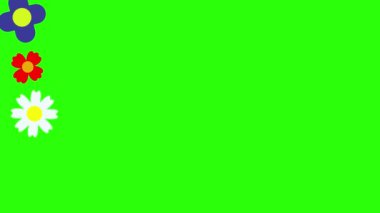 Çiçeklerin düz tasarımı yeşil ekran kroma tuşunda canlandırma