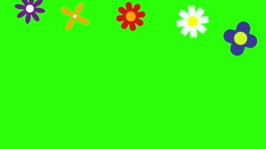 Çiçeklerin düz tasarımı yeşil ekran kroma tuşunda canlandırma