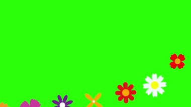 Çiçeklerin düz tasarımı yeşil ekran kroma tuşunda canlandırma