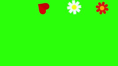 Düz çiçekler ve kalpler animasyon grafik elementleri yeşil ekran krom anahtarı üzerinde