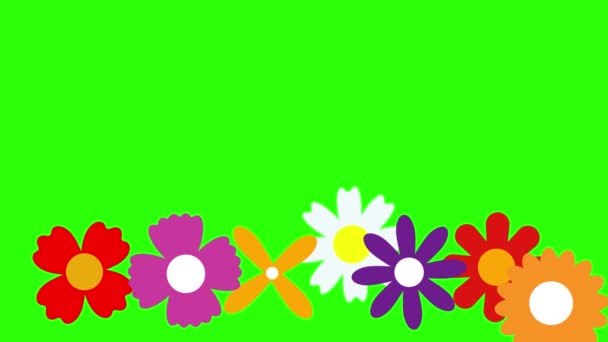 Çiçeklerin Düz Tasarımı Yeşil Ekran Kroma Tuşunda Canlandırma — Stok video