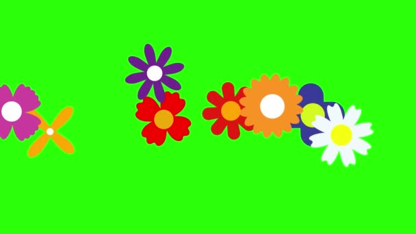 Disegno Piatto Animazione Fiori Chiave Cromatica Schermo Verde — Video Stock