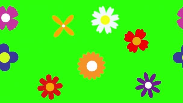 Επίπεδη Σχεδίαση Των Λουλουδιών Animation Στην Πράσινη Οθόνη Chroma Κλειδί — Αρχείο Βίντεο