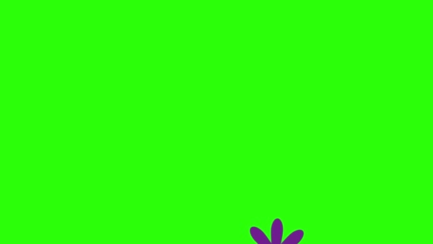 Diseño Plano Animación Flores Pantalla Verde Croma Key — Vídeo de stock