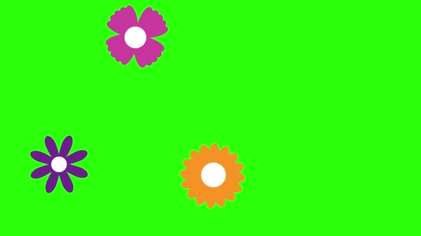 Flat Design Flowers Animation Green Screen Chroma Key — Stock Video