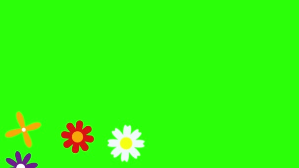 Diseño Plano Animación Flores Pantalla Verde Croma Key — Vídeos de Stock