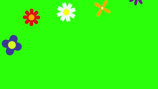 Плоский Дизайн Анимации Цветов Зеленом Экране Хрома Ключ — стоковое видео