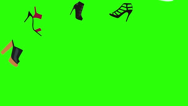 Animation Chaussures Femme Éléments Groupe Sur Écran Vert Chroma Clé — Video