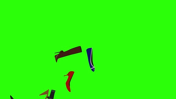 Animation Chaussures Femme Éléments Groupe Sur Écran Vert Chroma Clé — Video