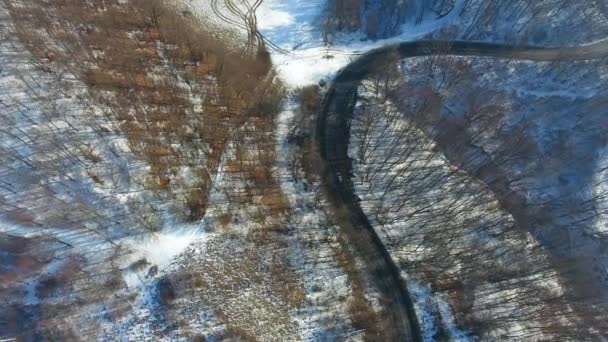 Αεροφωτογραφία Των Λόφων Και Των Δρόμων Χειμερινή Περίοδος Του Δάσους — Αρχείο Βίντεο