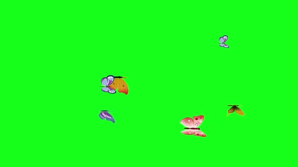 Группа Бабочек Летит Зеленом Экране Хрома Ключа Графический Исходный Элемент — стоковое видео