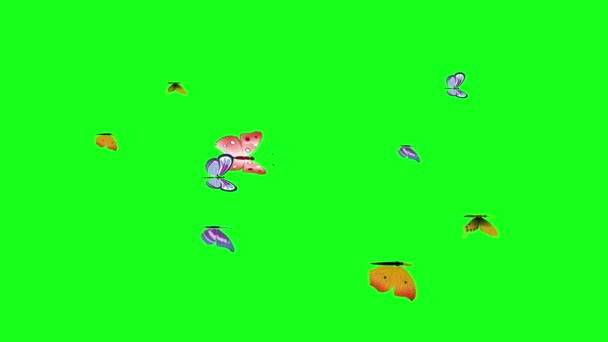 蝶のグループは 緑の画面上で飛ぶクロマキー グラフィックソース要素 ループアニメーション — ストック動画