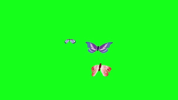 Група Метеликів Літає Зеленому Екрані Хромована Клавіша Елемент Графічного Джерела — стокове відео
