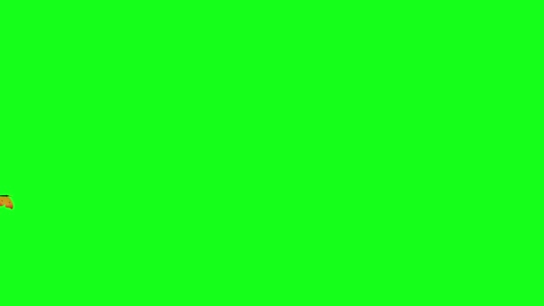 Grupo Borboletas Voar Chave Croma Tela Verde Animação Elemento Fonte — Vídeo de Stock