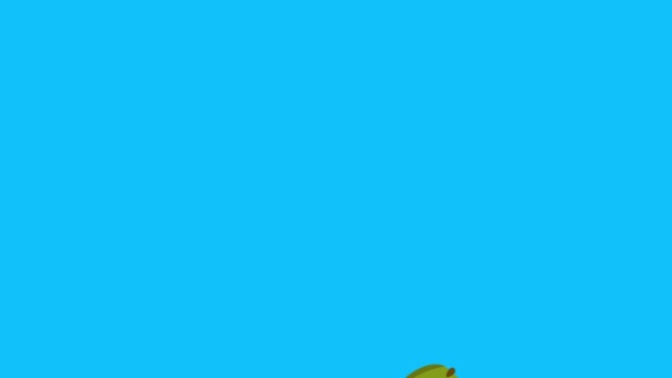 Група Анімації Фруктів Синій Екран Знімний Фон Ключ Хрому Дизайн — стокове відео