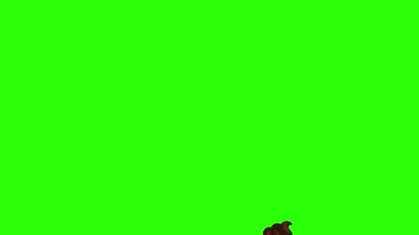 Grupa Animacji Lodów Zielonym Ekranie Chroma Key Dekoracyjny Płaski Design — Wideo stockowe