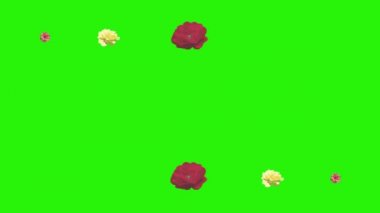 Renkli güller çiçek elementleri animasyon rengi anahtar, grafik kaynağı