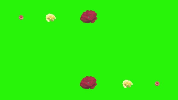 Fleurs roses colorées éléments animation chroma clé, source graphique
