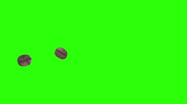 Yeşil ekran kroma tuşunda gerçekçi kahve çekirdekleri animasyon grafik elementi