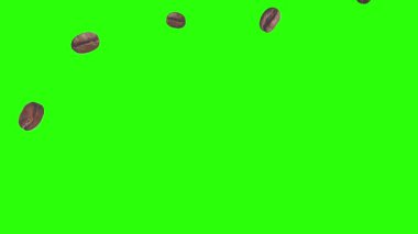 Yeşil ekran kroma tuşunda gerçekçi kahve çekirdekleri animasyon grafik elementi