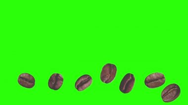 Yeşil ekran kroma tuşunda gerçekçi kahve çekirdekleri animasyon grafik elementi