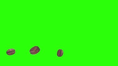 Yeşil ekran kroma tuşunda gerçekçi kahve çekirdekleri animasyon grafik elementi