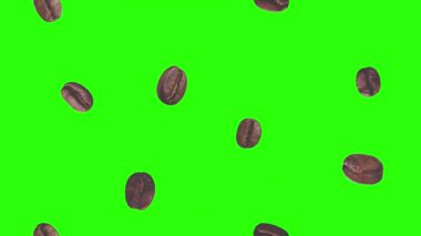 Yeşil ekran kroma tuşunda gerçekçi kahve çekirdekleri animasyon grafik elementi