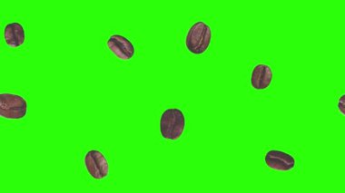Yeşil ekran kroma tuşunda gerçekçi kahve çekirdekleri animasyon grafik elementi