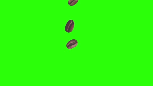 Realistyczne Ziarna Kawy Animacja Element Graficzny Zielonym Ekranie Chroma Klucz — Wideo stockowe