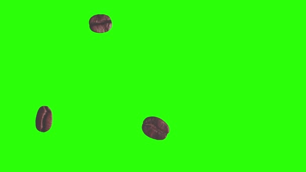 Café réaliste grains animation élément graphique sur écran vert chroma clé