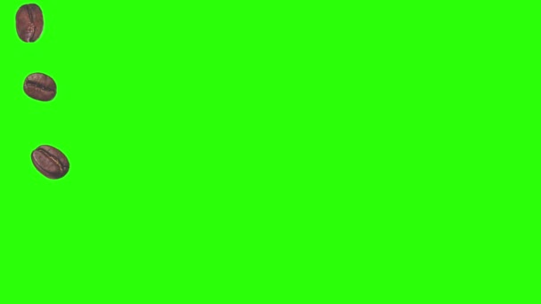 Café réaliste grains animation élément graphique sur écran vert chroma clé