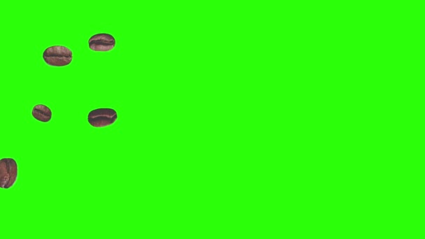 Реалістична Анімація Кавових Зерен Графічний Елемент Зеленому Екрані Хром Ключ — стокове відео